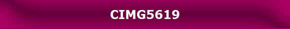 CIMG5619