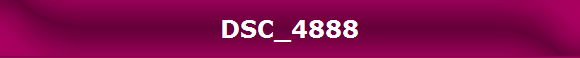DSC_4888